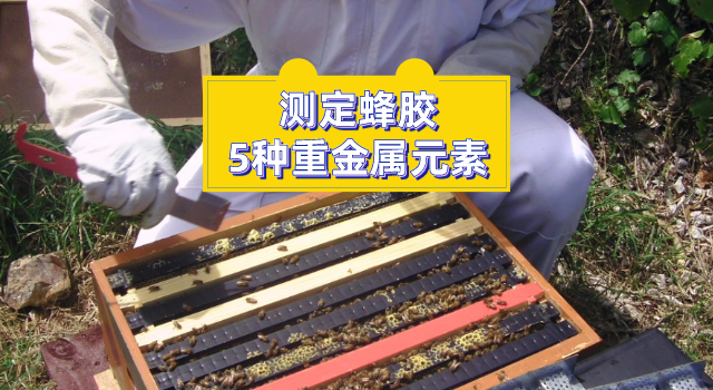 測(cè)定蜂膠中的5種重金屬元素